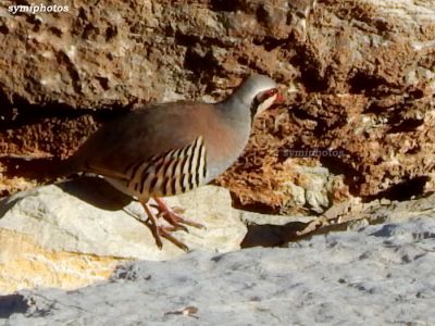 Κάντε κλικ για να δείτε την εικόνα σε πλήρες μέγεθος