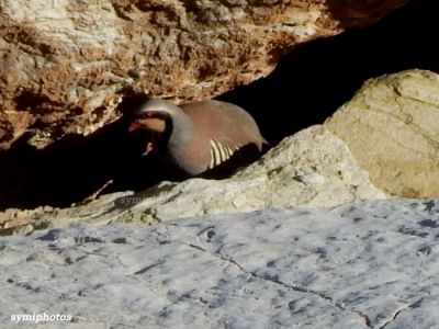 Κάντε κλικ για να δείτε την εικόνα σε πλήρες μέγεθος