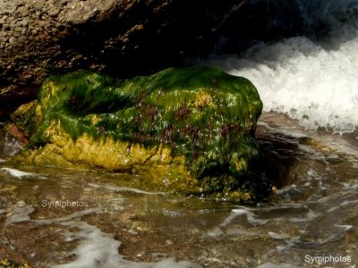 Κάντε κλικ για να δείτε την εικόνα σε πλήρες μέγεθος