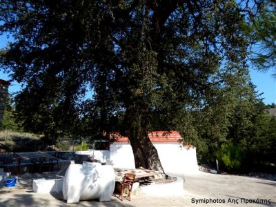 Κάντε κλικ για να δείτε την εικόνα σε πλήρες μέγεθος