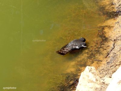 Κάντε κλικ για να δείτε την εικόνα σε πλήρες μέγεθος