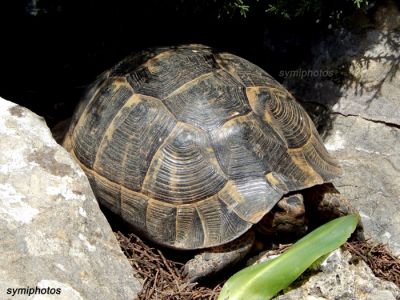 Κάντε κλικ για να δείτε την εικόνα σε πλήρες μέγεθος