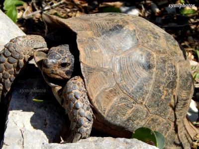 Κάντε κλικ για να δείτε την εικόνα σε πλήρες μέγεθος