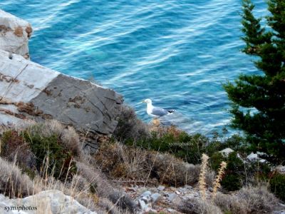 Κάντε κλικ για να δείτε την εικόνα σε πλήρες μέγεθος