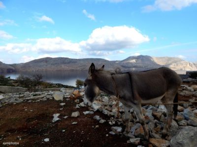 Κάντε κλικ για να δείτε την εικόνα σε πλήρες μέγεθος