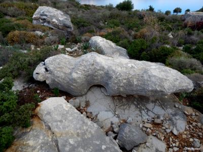 Κάντε κλικ για να δείτε την εικόνα σε πλήρες μέγεθος