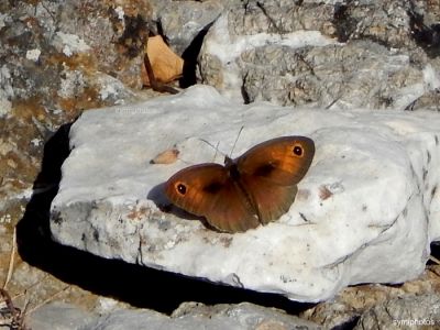 Κάντε κλικ για να δείτε την εικόνα σε πλήρες μέγεθος