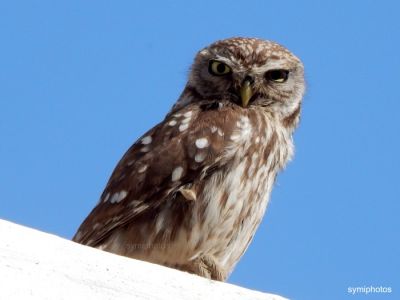 Κάντε κλικ για να δείτε την εικόνα σε πλήρες μέγεθος