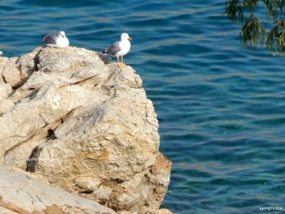 Κάντε κλικ για να δείτε την εικόνα σε πλήρες μέγεθος