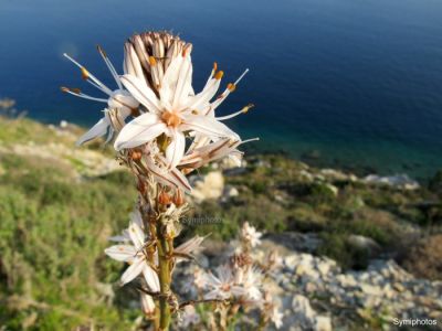 Κάντε κλικ για να δείτε την εικόνα σε πλήρες μέγεθος