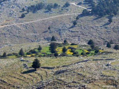 Κάντε κλικ για να δείτε την εικόνα σε πλήρες μέγεθος