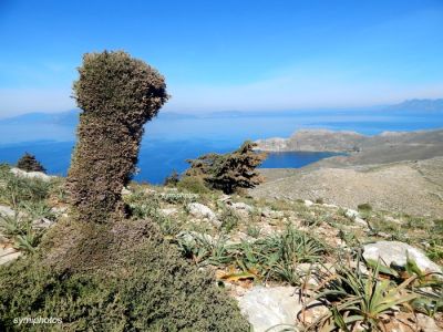 Κάντε κλικ για να δείτε την εικόνα σε πλήρες μέγεθος