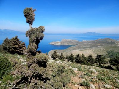 Tam boy resmi görebilmek için tıklayın