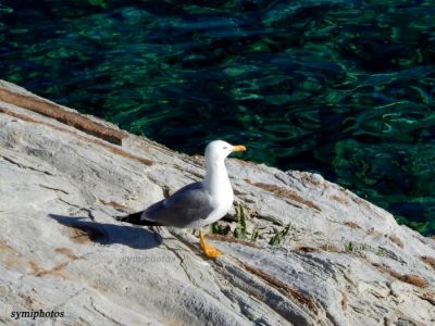 Κάντε κλικ για να δείτε την εικόνα σε πλήρες μέγεθος