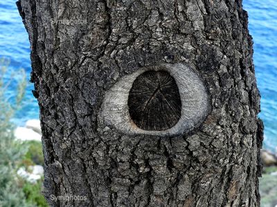 Κάντε κλικ για να δείτε την εικόνα σε πλήρες μέγεθος