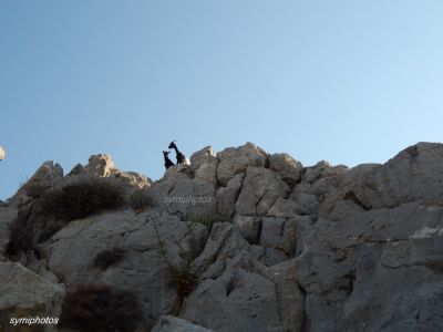 Κάντε κλικ για να δείτε την εικόνα σε πλήρες μέγεθος