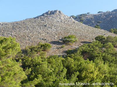 Κάντε κλικ για να δείτε την εικόνα σε πλήρες μέγεθος