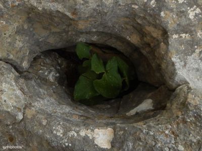 Κάντε κλικ για να δείτε την εικόνα σε πλήρες μέγεθος