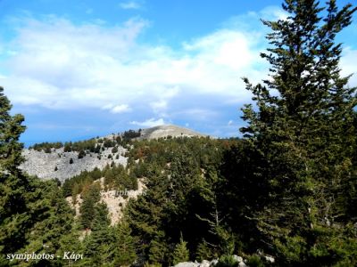 Κάντε κλικ για να δείτε την εικόνα σε πλήρες μέγεθος