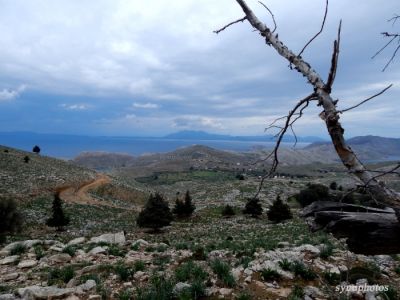 Κάντε κλικ για να δείτε την εικόνα σε πλήρες μέγεθος