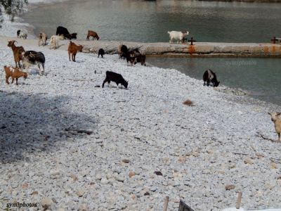 Κάντε κλικ για να δείτε την εικόνα σε πλήρες μέγεθος