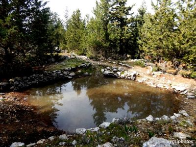 Κάντε κλικ για να δείτε την εικόνα σε πλήρες μέγεθος