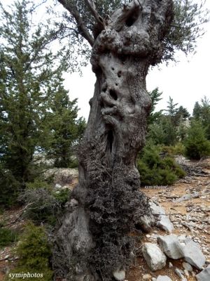 Κάντε κλικ για να δείτε την εικόνα σε πλήρες μέγεθος