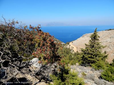 Κάντε κλικ για να δείτε την εικόνα σε πλήρες μέγεθος