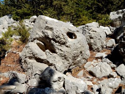 Κάντε κλικ για να δείτε την εικόνα σε πλήρες μέγεθος