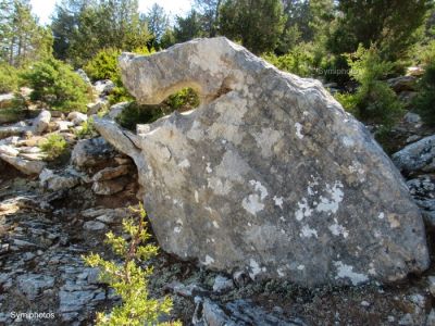 Κάντε κλικ για να δείτε την εικόνα σε πλήρες μέγεθος