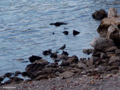 Κάντε κλικ για να δείτε την εικόνα σε πλήρες μέγεθος