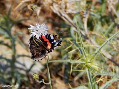 Κάντε κλικ για να δείτε την εικόνα σε πλήρες μέγεθος