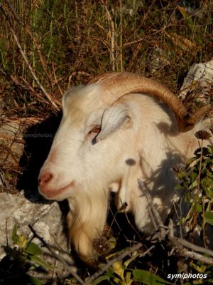 Κάντε κλικ για να δείτε την εικόνα σε πλήρες μέγεθος