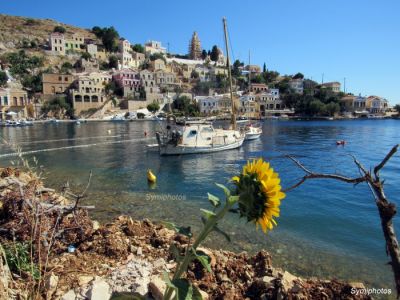 Κάντε κλικ για να δείτε την εικόνα σε πλήρες μέγεθος