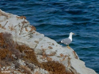 Κάντε κλικ για να δείτε την εικόνα σε πλήρες μέγεθος