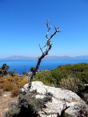 Κάντε κλικ για να δείτε την εικόνα σε πλήρες μέγεθος