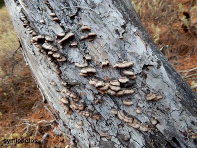 Κάντε κλικ για να δείτε την εικόνα σε πλήρες μέγεθος