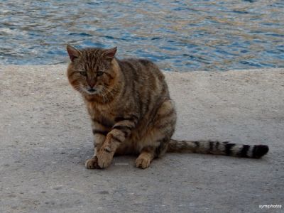 Κάντε κλικ για να δείτε την εικόνα σε πλήρες μέγεθος