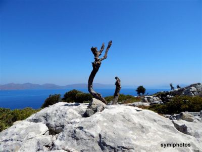 Κάντε κλικ για να δείτε την εικόνα σε πλήρες μέγεθος