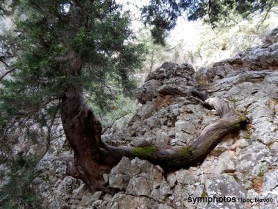 Κάντε κλικ για να δείτε την εικόνα σε πλήρες μέγεθος