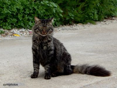 Κάντε κλικ για να δείτε την εικόνα σε πλήρες μέγεθος