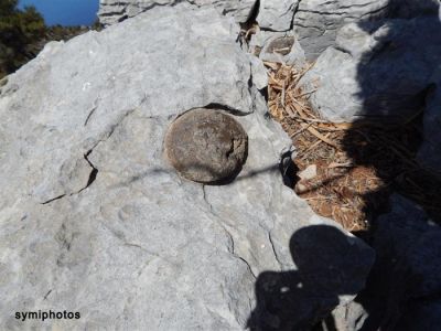 Κάντε κλικ για να δείτε την εικόνα σε πλήρες μέγεθος