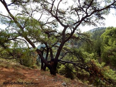 Κάντε κλικ για να δείτε την εικόνα σε πλήρες μέγεθος