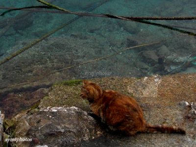 Κάντε κλικ για να δείτε την εικόνα σε πλήρες μέγεθος