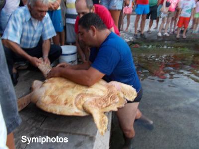 Κάντε κλικ για να δείτε την εικόνα σε πλήρες μέγεθος