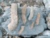 APOLIThOMENA_MARAThOUNTA.jpg