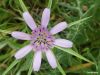 Filename=LOULOUDI_2.jpg
Filesize=320KiB
Dimensions=700x525
Date added=Apr 16, 2026 LOULOUDI_2.jpg