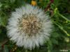 Filename=LOULOUDI_5.jpg
Filesize=347KiB
Dimensions=700x525
Date added=Apr 16, 2026 LOULOUDI_5.jpg