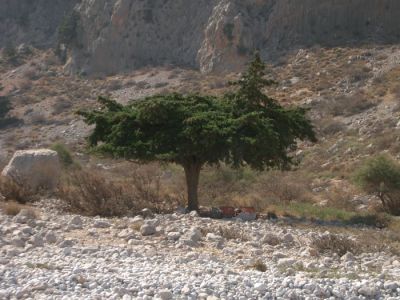 Κάντε κλικ για να δείτε την εικόνα σε πλήρες μέγεθος