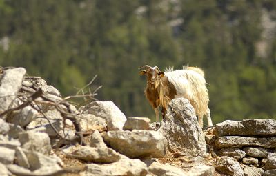 Κάντε κλικ για να δείτε την εικόνα σε πλήρες μέγεθος